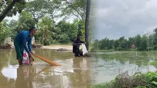 বন্যায় ফেনীতে ৫০ কোটি টাকার ফসলের ক্ষতি